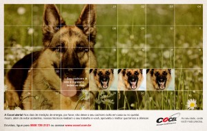 Se cão não é o mesmo todos os dias, lembre de prendê-lo nos dias de leitura.