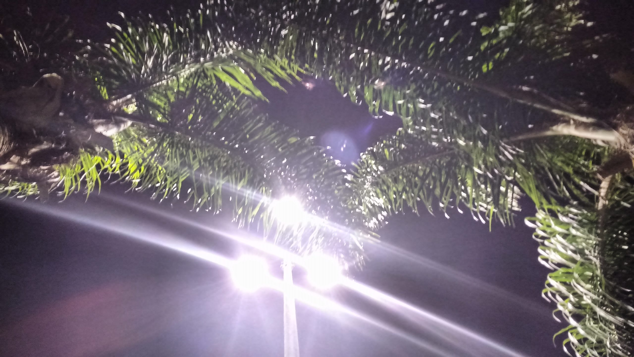 “Praça do Sagrada” recebe melhorias na iluminação