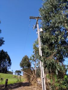 Ao plantar árvores deve-se respeitar distância mínima de 10 m da rede de distribuição de energia