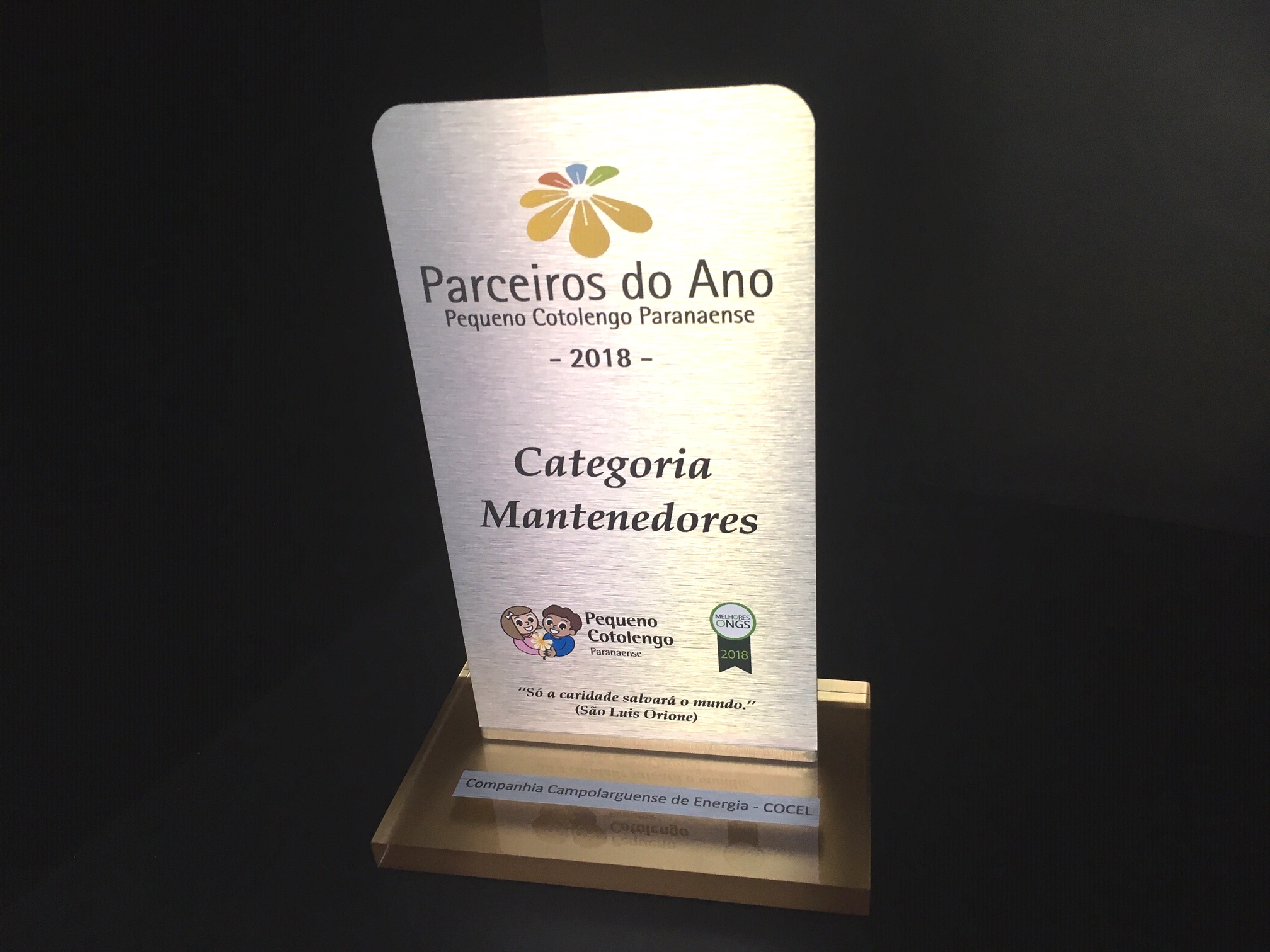 Cocel é reconhecida como um dos “Parceiros do Ano” do Pequeno Cotolengo